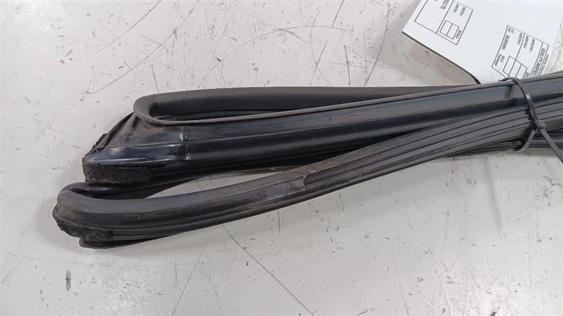 Hyundai Elantra Door Glass Window Seal Rubber Left Driver Front  2011 
