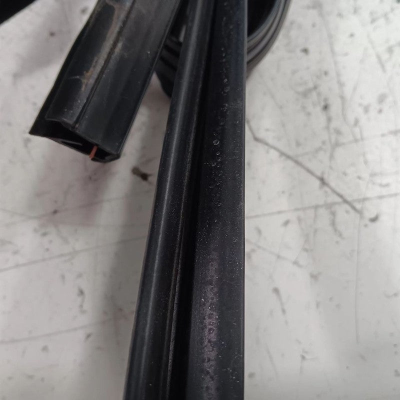 Ford Taurus Door Glass Window Seal Rubber Left Driver Front  2019 2018