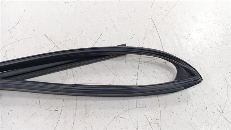 Kia Forte Door Glass Window Seal Rubber Right Passenger Rear Back 2016