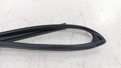 Kia Forte Door Glass Window Seal Rubber Right Passenger Rear Back 2016