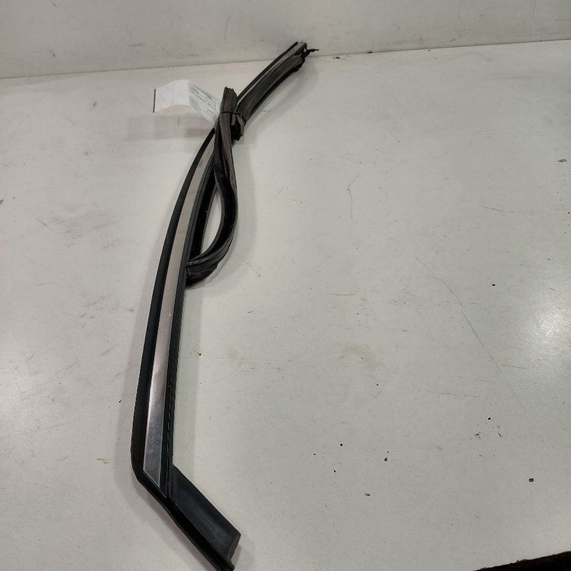 Ford Fusion Door Glass Window Seal Rubber Left Driver Front  2016 2015