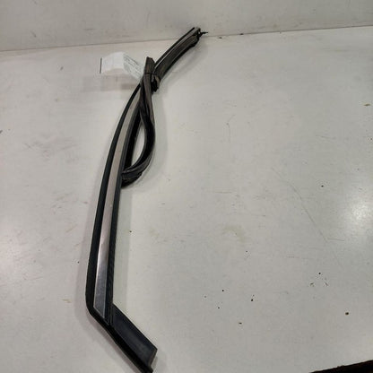 Ford Fusion Door Glass Window Seal Rubber Left Driver Front  2016 2015