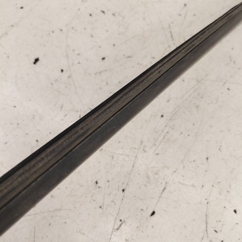 Chevy Volt Door Glass Window Weather Strip Trim Rear Left Driver Back 