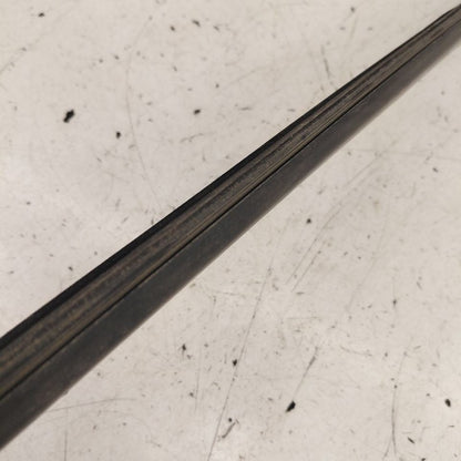 Chevy Volt Door Glass Window Weather Strip Trim Rear Left Driver Back 