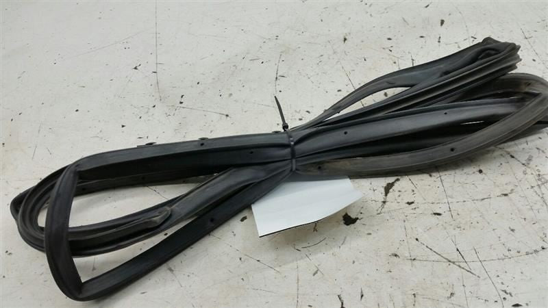 Hyundai Sonata On Door Seal Rubber Gasket Right Passenger Rear Back 2012 2013