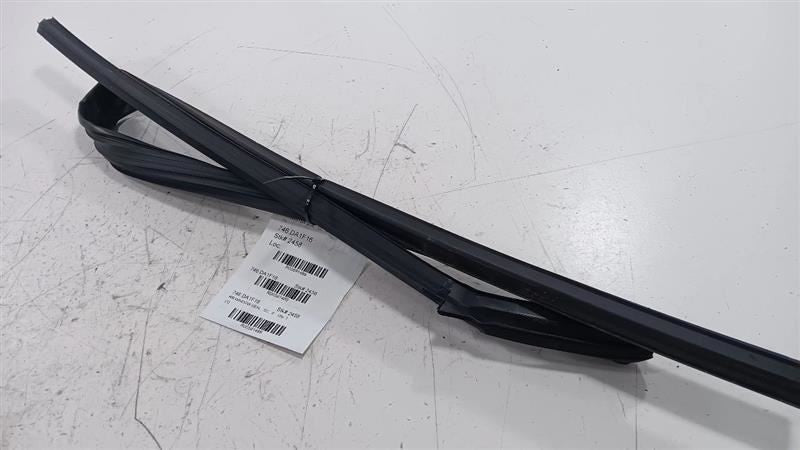 Nissan Rogue Door Glass Window Seal Rubber Right Passenger Rear Back 2