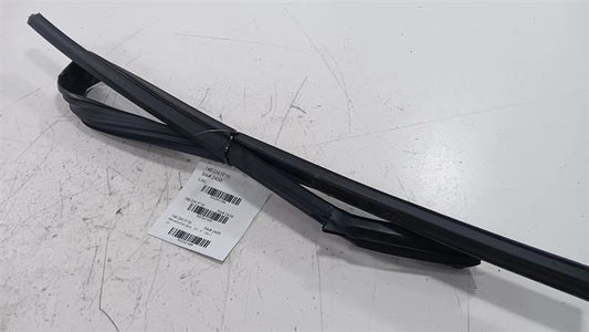 Nissan Rogue Door Glass Window Seal Rubber Right Passenger Rear Back 2