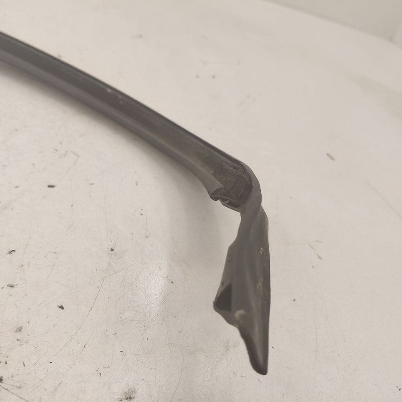 Volvo S60 Door Glass Window Seal Rubber Right Passenger Rear Back 2013