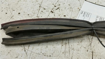 Nissan Sentra On Door Seal Rubber Gasket Left Driver Front 2003 2004 2005 2006