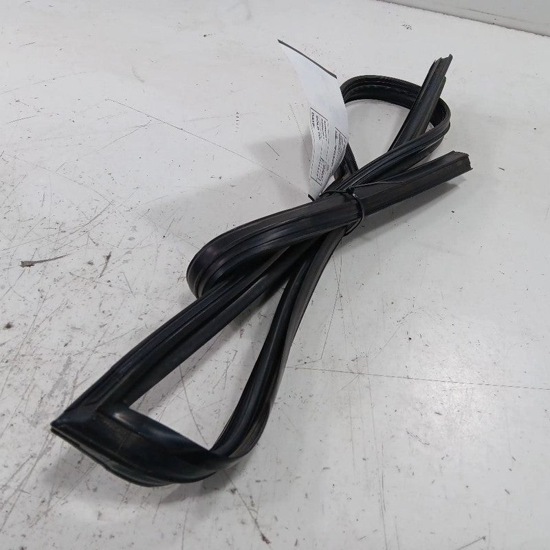 Nissan Maxima Door Glass Window Seal Rubber Right Passenger Front 2014