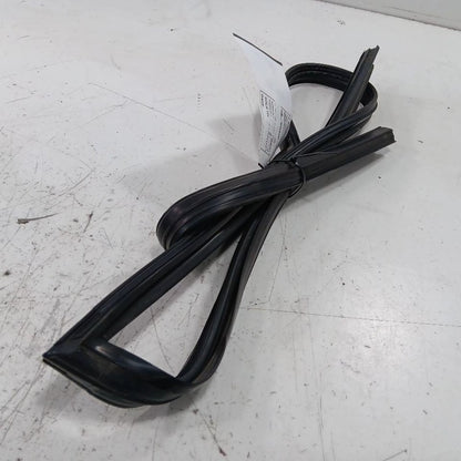 Nissan Maxima Door Glass Window Seal Rubber Right Passenger Front 2014
