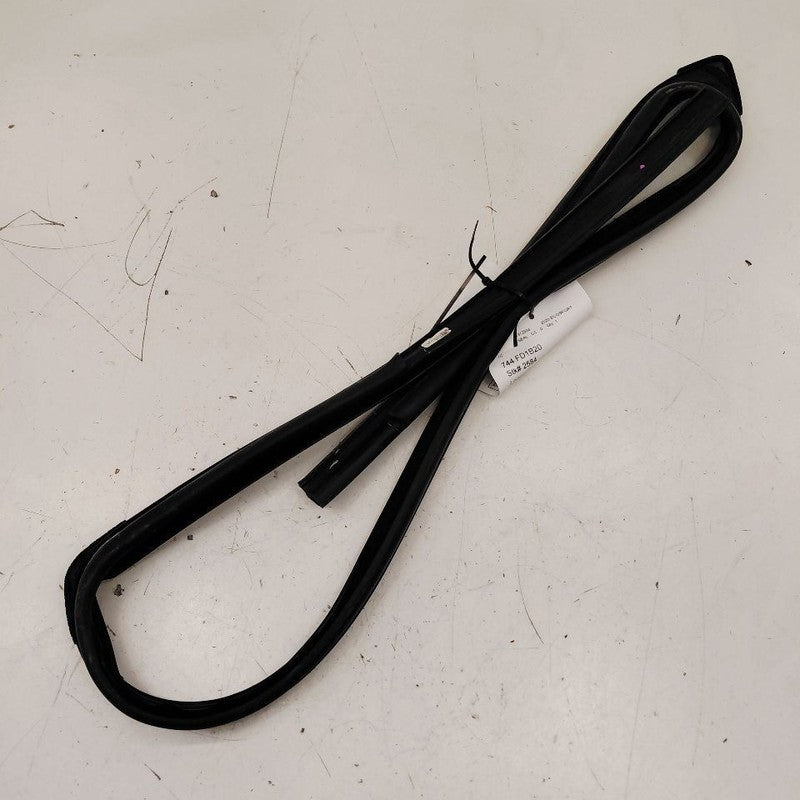 Ford Ecosport Door Glass Window Seal Rubber Left Driver Front  2020 20