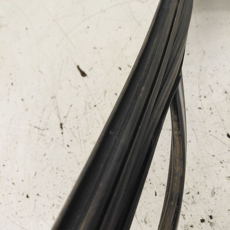 Honda CR-V Door Glass Window Seal Rubber Right Passenger Front  2019 2