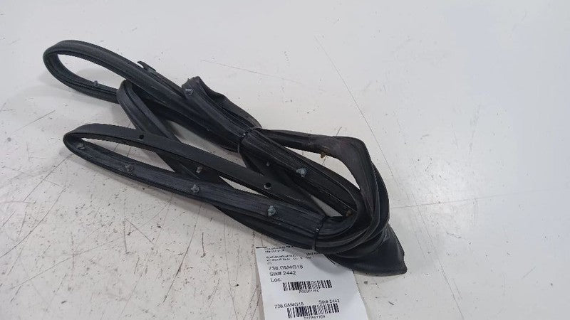 Buick Encore On Door Seal Rubber Right Passenger Rear Back  2016 2017 