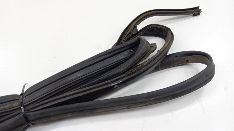 Sentra On Door Seal Rubber Gasket Right Passenger Front 2007 2008 2009 2010 