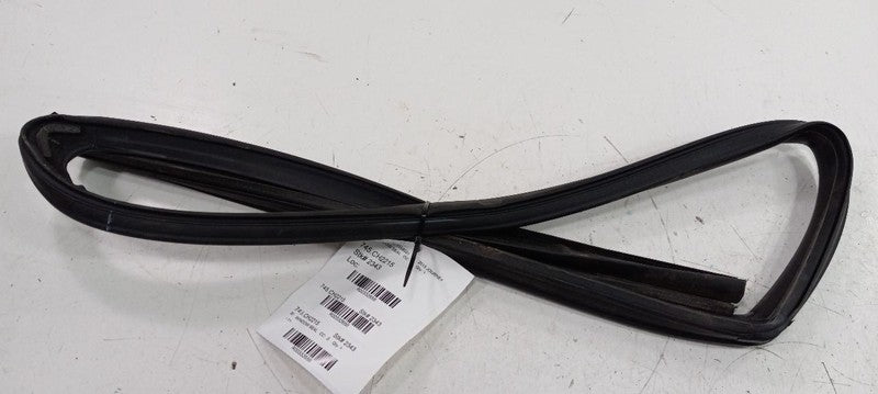 Dodge Journey Door Glass Window Seal Rubber Right Passenger Front 2014 2015 2016