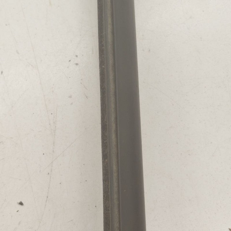 Buick Encore GX Door Glass Window Weather Strip Trim Rear Left Driver 