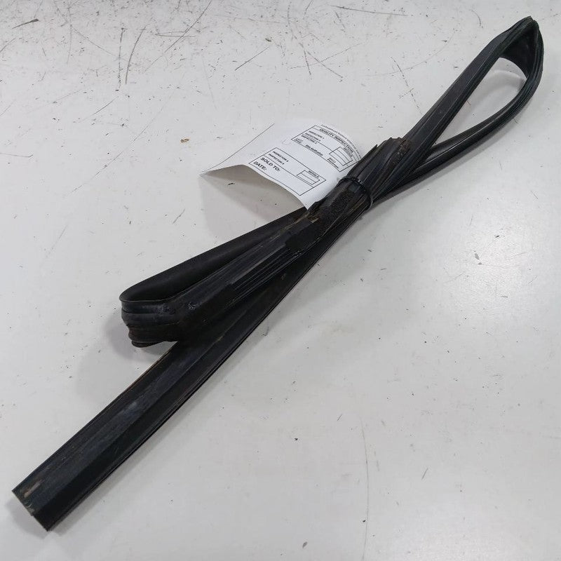 Hyundai Elantra Door Glass Window Seal Rubber Left Rear Back  2017 201