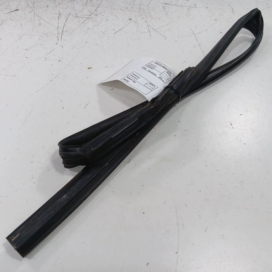 Hyundai Elantra Door Glass Window Seal Rubber Left Rear Back  2017 201