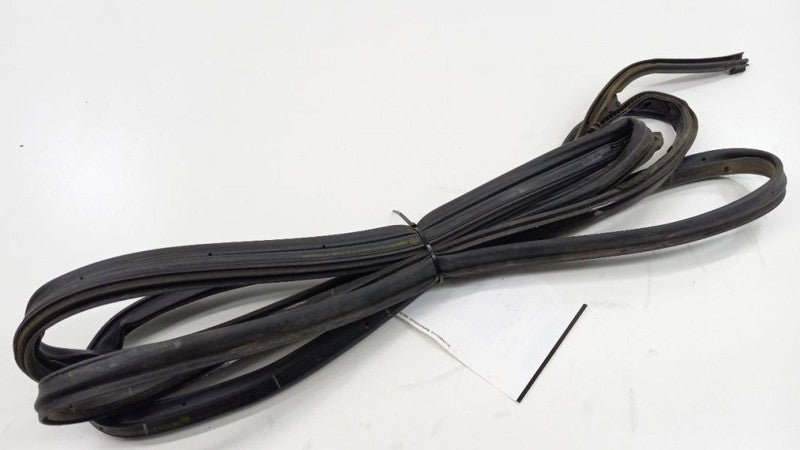 Sentra On Door Seal Rubber Gasket Right Passenger Front 2007 2008 2009 2010 