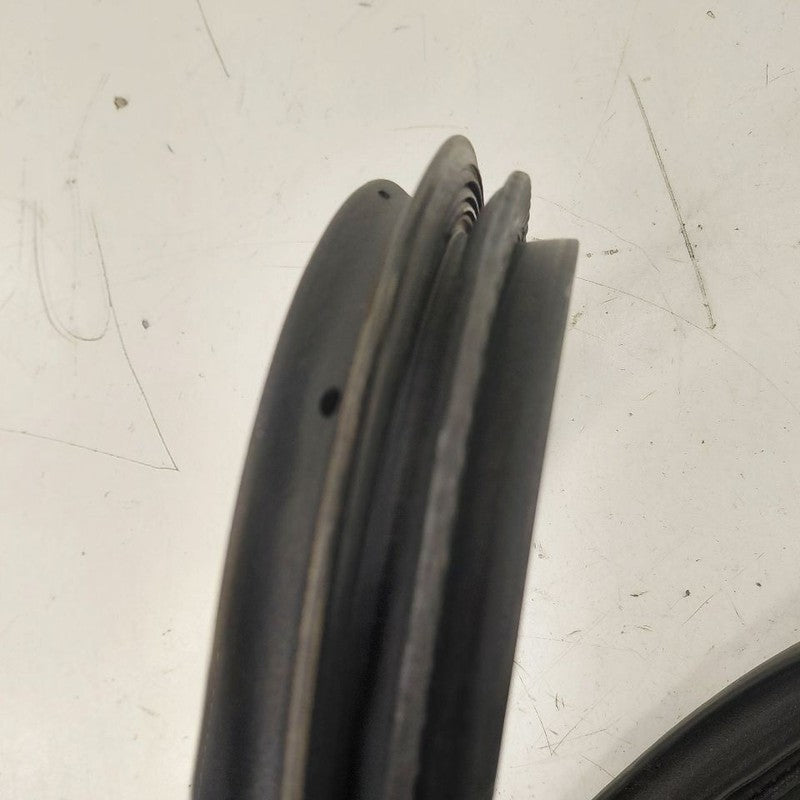 Ford Ecosport On Body Door Jamb Seal Rear Left Driver Back  2020 2021 