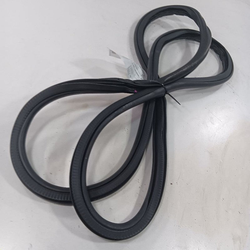 Buick Encore On Body Door Jamb Seal Rear Right Passenger Back  2022 2021 2020 20