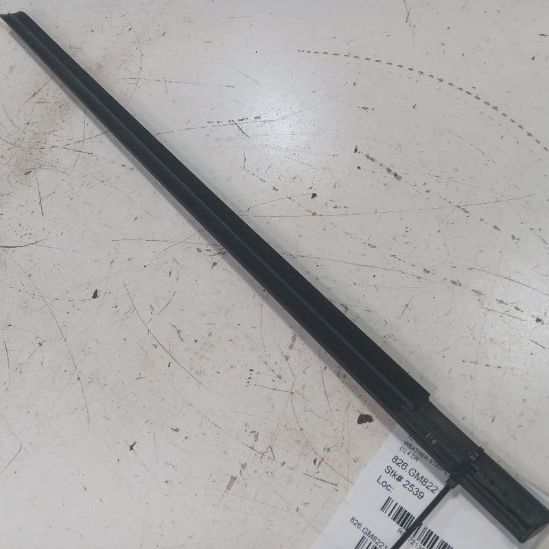Chevy Trailblazer Door Glass Weather Strip Trim Front Right Passenger 