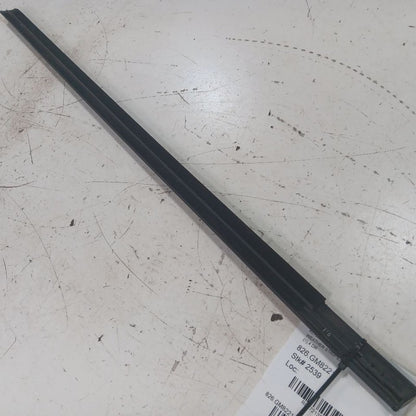 Chevy Trailblazer Door Glass Weather Strip Trim Front Right Passenger 