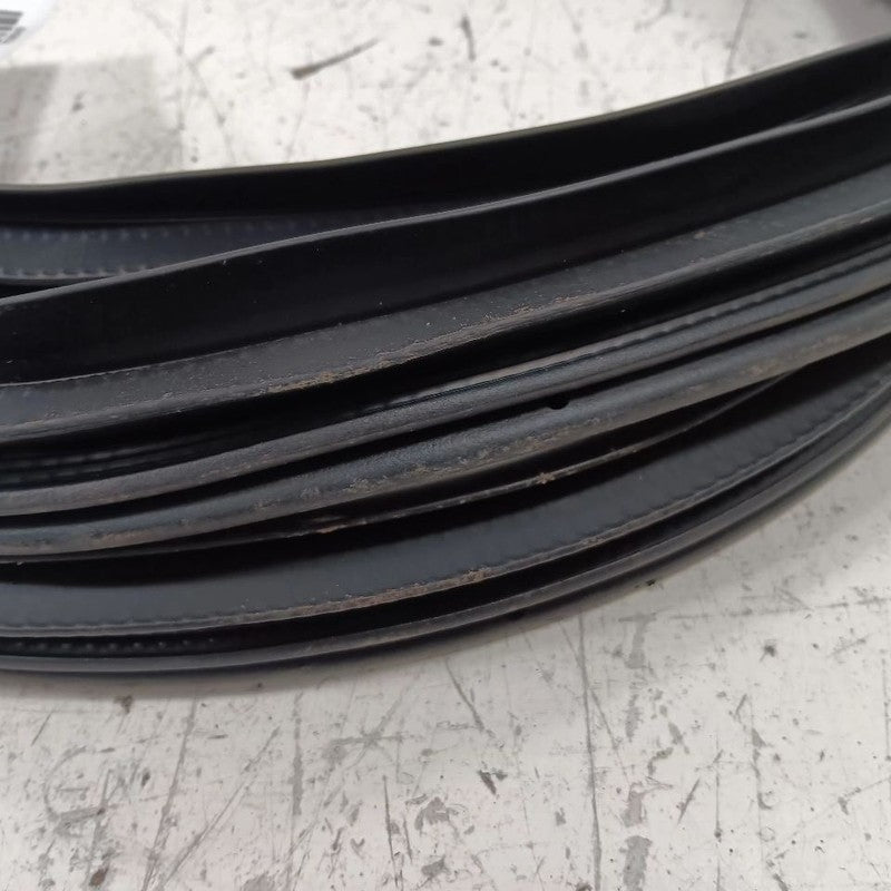 Ford Taurus On Body Door Jamb Seal Front Right Passenger  2019 2018 20
