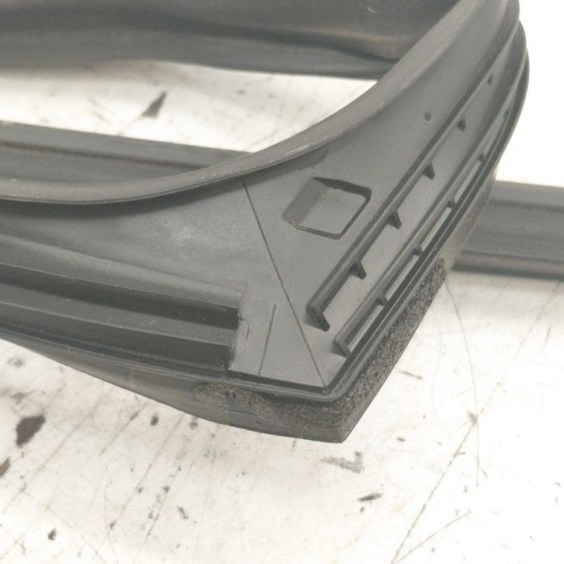Nissan Rogue Door Glass Window Seal Rubber Left Driver Rear Back  2021