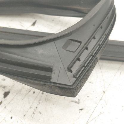 Nissan Rogue Door Glass Window Seal Rubber Left Driver Rear Back  2021