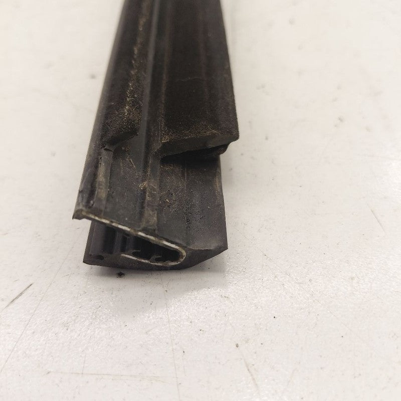 Chevy Volt Door Glass Window Weather Strip Trim Front Left Driver 2019