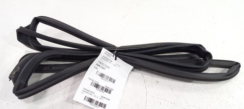 Acura TSX On Door Seal Rubber Left Rear Back 2014 2013 2012 2011 OEM