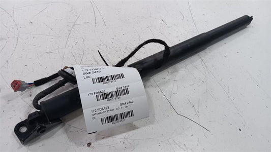 Ford Escape Hatchback Hatch Back Trunk Lid Shock Strut Support  2020 2