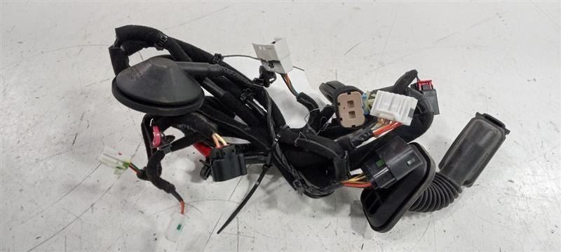 Kia Sorento Door Harness Wire Wiring Right Passenger Front 2017  OEM