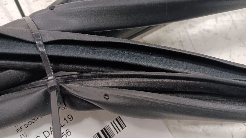 Nissan Maxima On Body Door Jamb Seal Front Right Passenger  2018 2019 2020