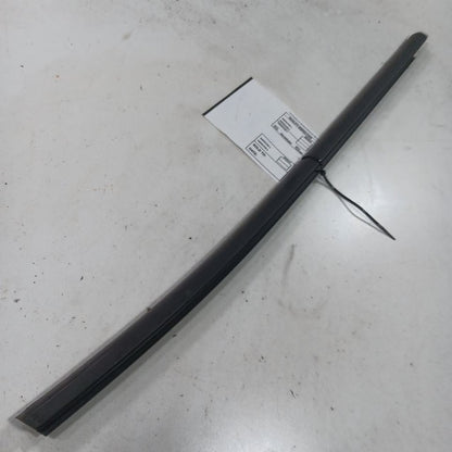 Chevy Trailblazer Door Glass Window Weather Strip Trim Rear Right Passenger 2021