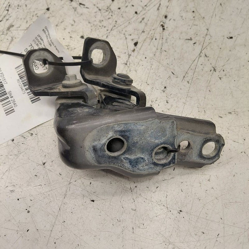 Ford Edge Door Hinge Set Left Front Driver  2018 2017 2016 2015