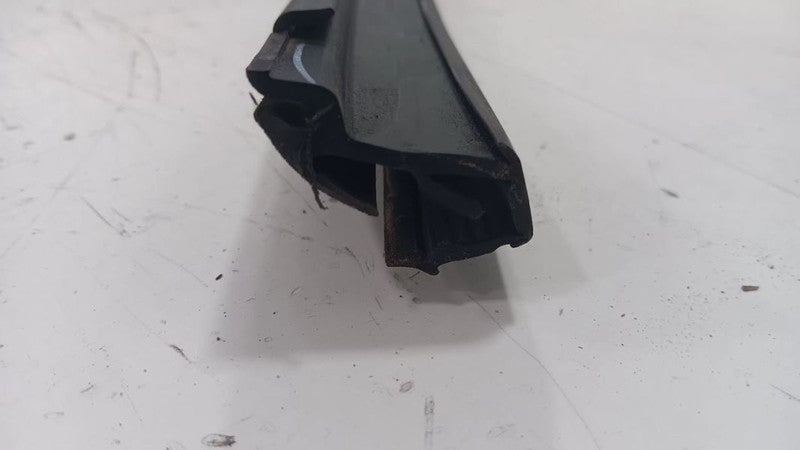 Chrysler 200 Door Glass Window Seal Rubber Right Passenger Front  2015 2016 2017