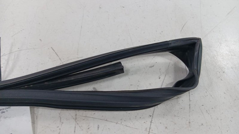 Honda Civic Door Glass Window Seal Rubber Right Passenger Rear Back 20