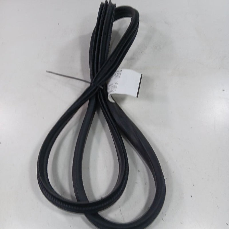 Ford Ecosport On Body Door Jamb Seal Rear Right Passenger Back  2018 2