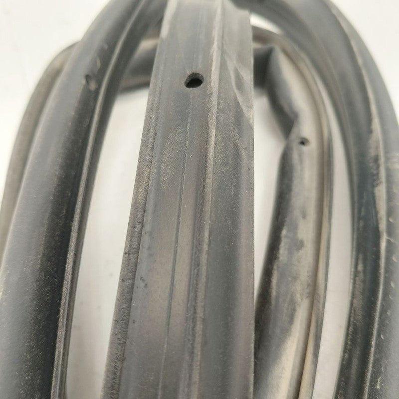 Chevy Volt On Door Seal Rubber Right Passenger Front  2019 2018 2017 2