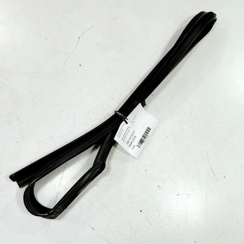 Hyundai Sonata Door Glass Window Seal Rubber Right Passenger Rear Back