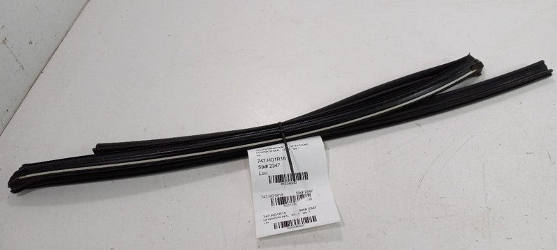 Honda Accord Door Glass Window Seal Rubber Left Rear Back 2013 2014 20