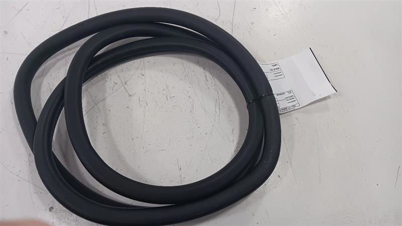 Chrysler 200 On Body Door Jamb Seal Rear Left Back  2015 2016 2017