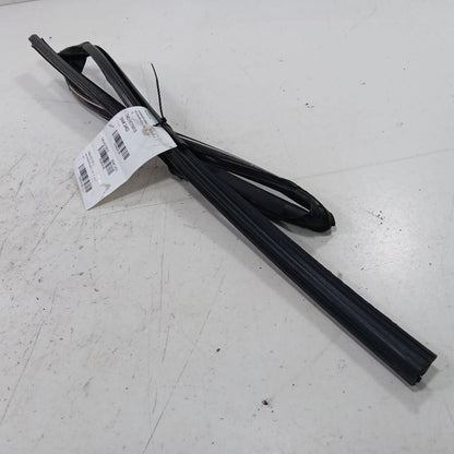 Honda CR-V Door Glass Window Seal Rubber Right Passenger Rear Back  20