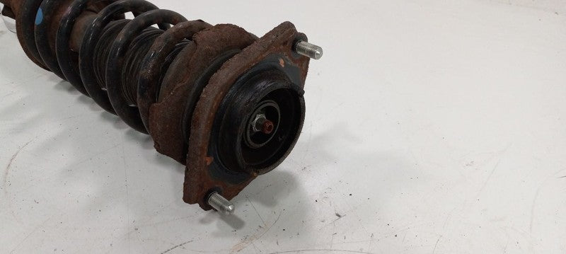 Strut Rear Sedan Fits 10-14 Subaru Legacy  OEM
