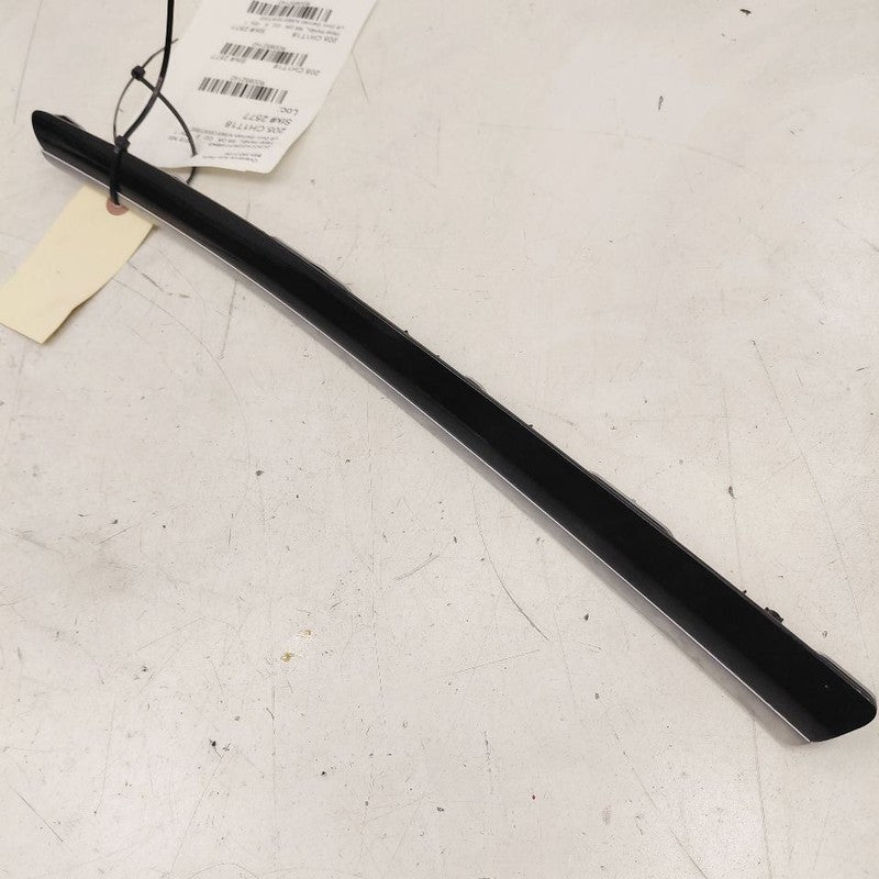 Chrysler 300 Left Rear Door Trim Garnish {AI59313XST002} 2017 2018 201
