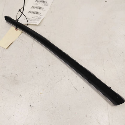 Chrysler 300 Left Rear Door Trim Garnish {AI59313XST002} 2017 2018 201