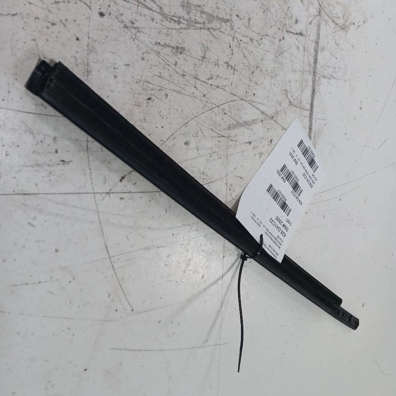 Nissan Kicks Door Glass Window Weather Strip Trim Rear Left Back  2021 20